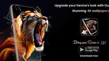 4K Wallpapers - HD Backgrounds header