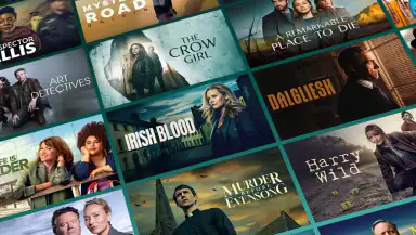 Acorn TV: Brilliant Mysteries header