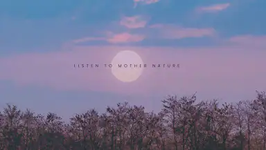 Aesthetic Wallpaper for Girls header
