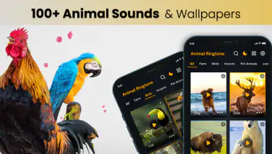 Animal sounds & wallpaper header