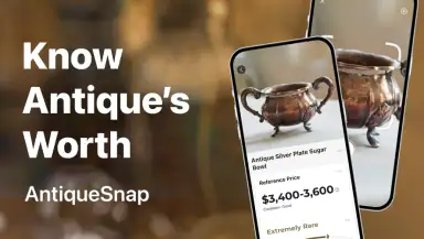 AntiqSnap: Antique Identifier header