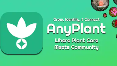 AnyPlant: AI Plant Identifier header