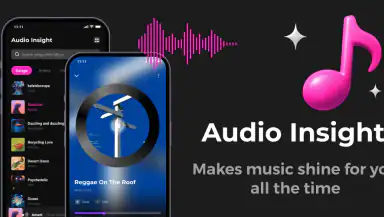 Audio Insight - Offline Music header