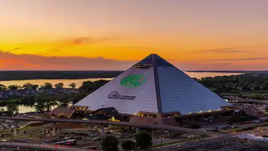 Bass Pro Shops header
