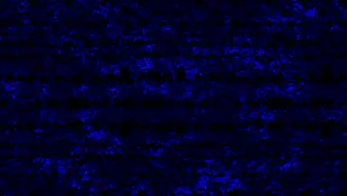 Battle Night Funkin: Music Mod header