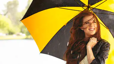 beeline header