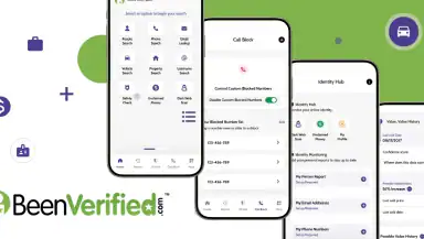 BeenVerified Background Search header