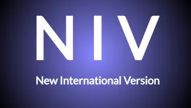 Bible NIV - Audio Bible App header