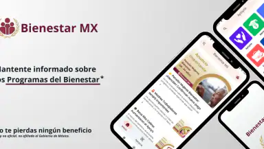 Bienestar MX | Apoyos Info header