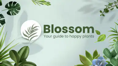 Blossom - Plant Identifier header