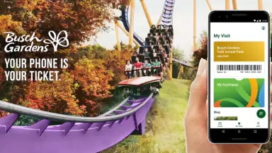 Busch Gardens header