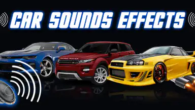 Car Engine Sounds - Gas Pedal header