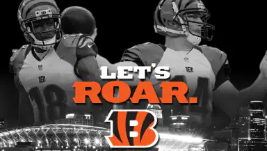 Cincinnati Bengals header