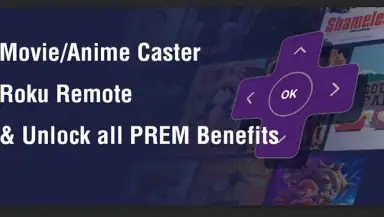 CineToolkit:Caster&Roku Remote header