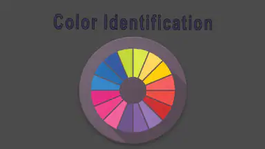 Color Identification header