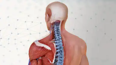 Complete Anatomy header