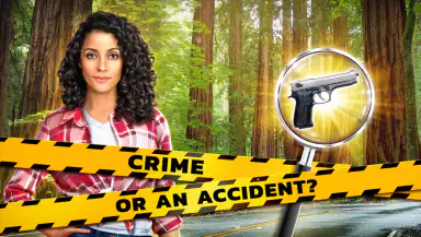 Crime Mysteries: Find objects header