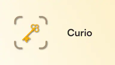 Curio - Antique Identifier header