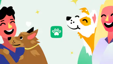 Dogo — Puppy and Dog Training header