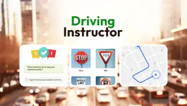 Driving Instructor-Theory Test header