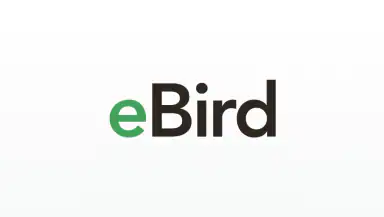 eBird by Cornell Lab header