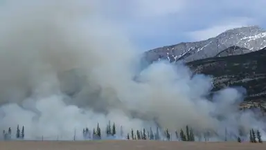 Fireguard Wildfire Tracker header
