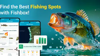 Fishbox - Smart Fishing App header