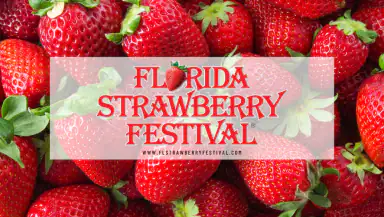 Florida Strawberry Festival header