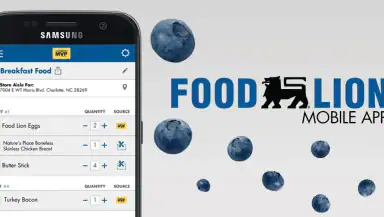 Food Lion header