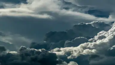 Froggy Weather header
