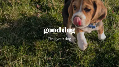 Good Dog: Find Your Puppy header