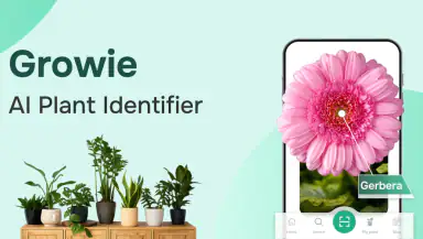 Growie - AI Plant Identifier header
