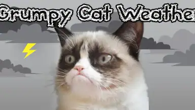 Grumpy Cat Weather header