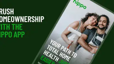 Hippo Home: Maintain & Insure header