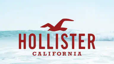 Hollister Co. header