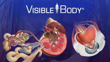 Human Anatomy Atlas 2026 header