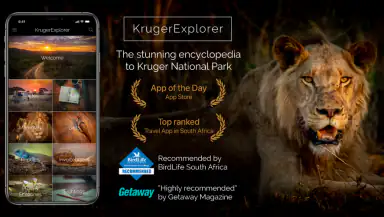 KrugerExplorer header