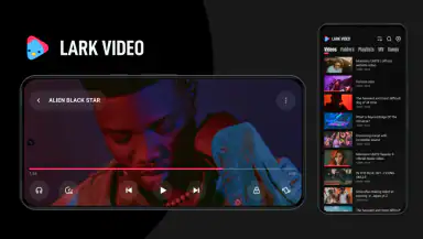 Lark Video Player header