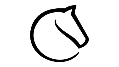 Lichess header