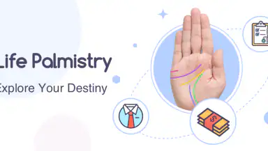 Life Palmistry - Palm & Aging header