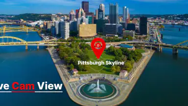 Live Street Camera View header