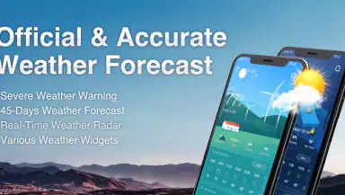 Live Weather: Weather Forecast header