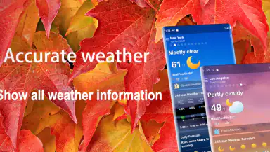 Local Weather Alerts - Widget header