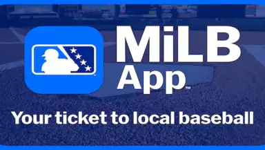 MiLB header