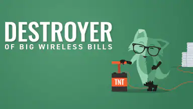 Mint Mobile header