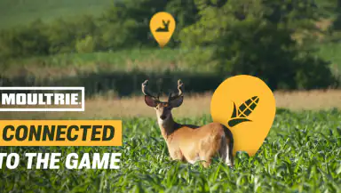 Moultrie header