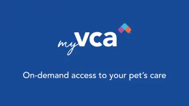 myVCA header