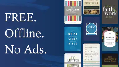 NIV Bible header