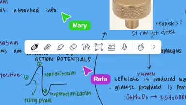 Notability: AI Note Workspace header
