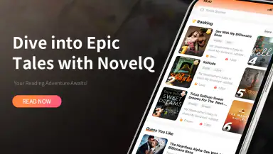 NovelQ header